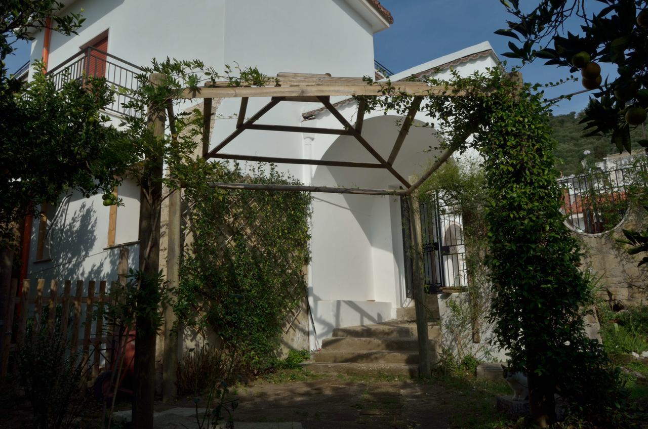 Il Giardino Del Sole Bed and Breakfast Roccarainola Exteriör bild